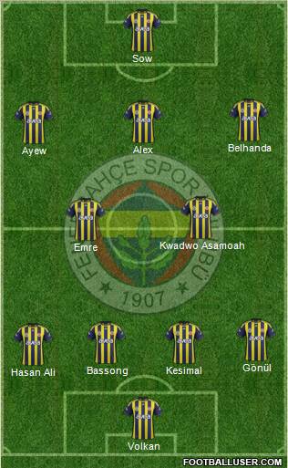 Fenerbahçe SK Formation 2012
