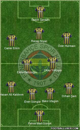Fenerbahçe SK Formation 2012