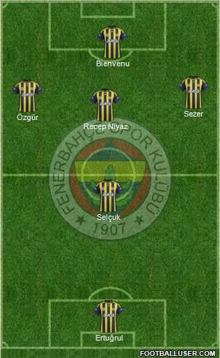 Fenerbahçe SK Formation 2012