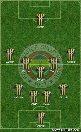 Fenerbahçe SK Formation 2012