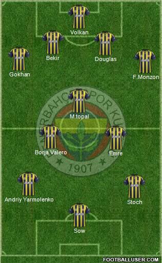 Fenerbahçe SK Formation 2012