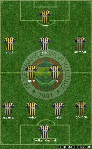 Fenerbahçe SK Formation 2012