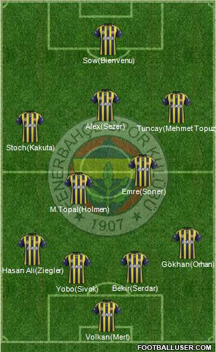 Fenerbahçe SK Formation 2012