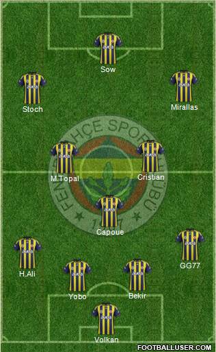 Fenerbahçe SK Formation 2012