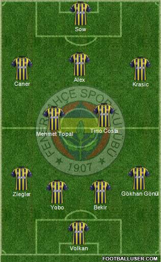 Fenerbahçe SK Formation 2012