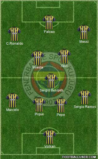 Fenerbahçe SK Formation 2012