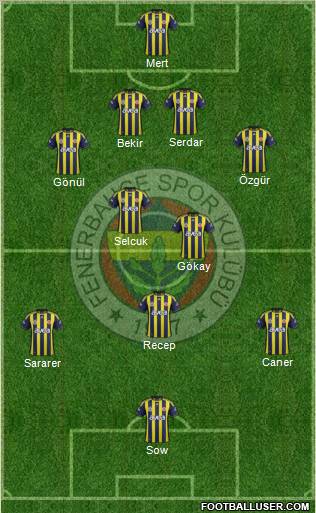 Fenerbahçe SK Formation 2012