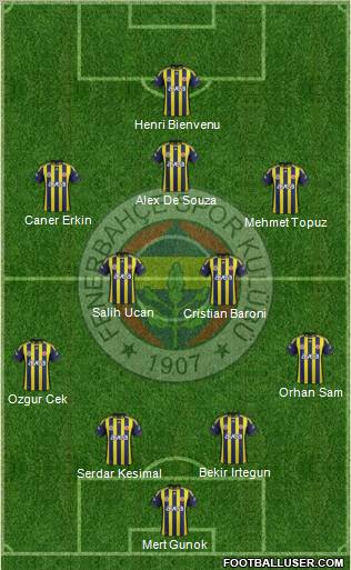 Fenerbahçe SK Formation 2012