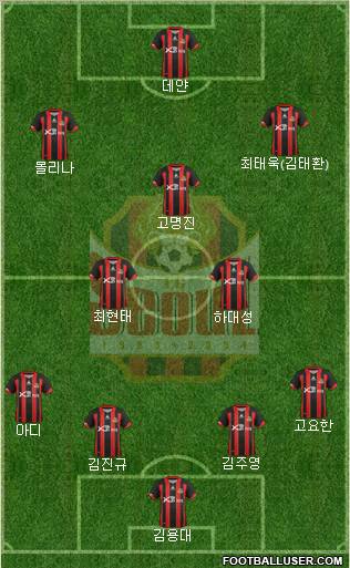 FC Seoul Formation 2012