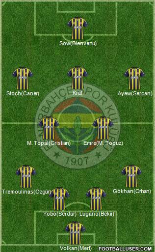 Fenerbahçe SK Formation 2012