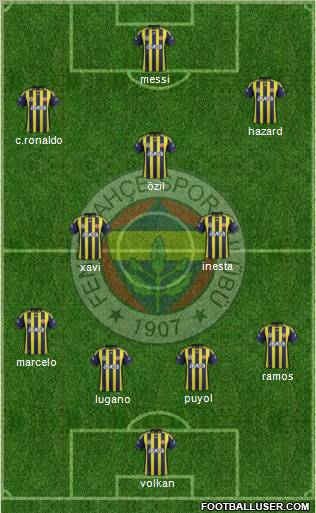 Fenerbahçe SK Formation 2012