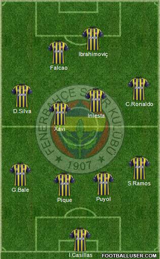 Fenerbahçe SK Formation 2012