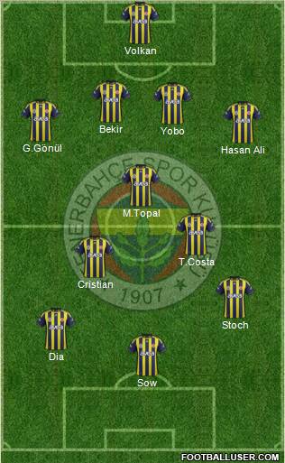 Fenerbahçe SK Formation 2012