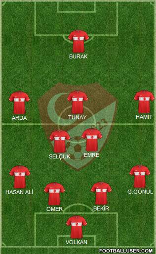 Turkey Formation 2012