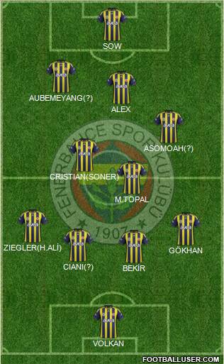 Fenerbahçe SK Formation 2012