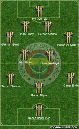 Fenerbahçe SK Formation 2012