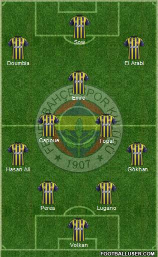 Fenerbahçe SK Formation 2012