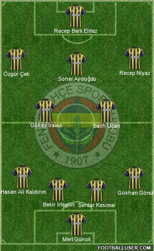 Fenerbahçe SK Formation 2012