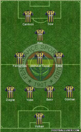 Fenerbahçe SK Formation 2012