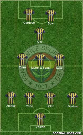 Fenerbahçe SK Formation 2012