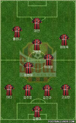 FC Seoul Formation 2012