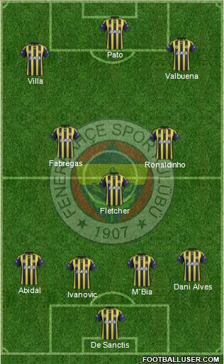 Fenerbahçe SK Formation 2012