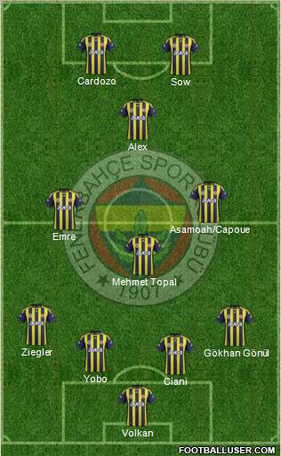Fenerbahçe SK Formation 2012