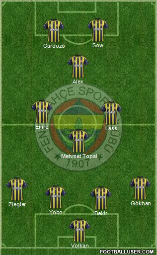 Fenerbahçe SK Formation 2012