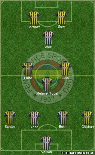 Fenerbahçe SK Formation 2012