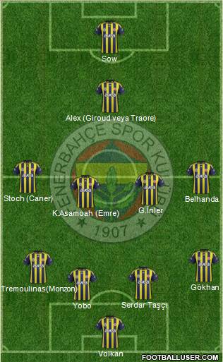 Fenerbahçe SK Formation 2012