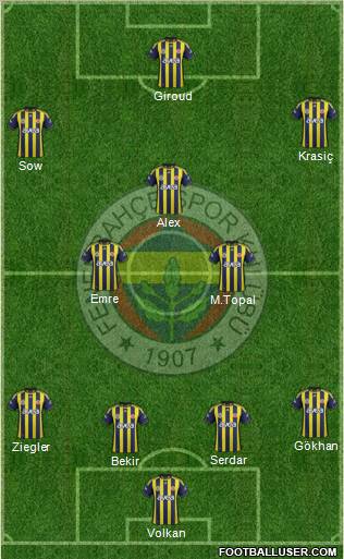 Fenerbahçe SK Formation 2012