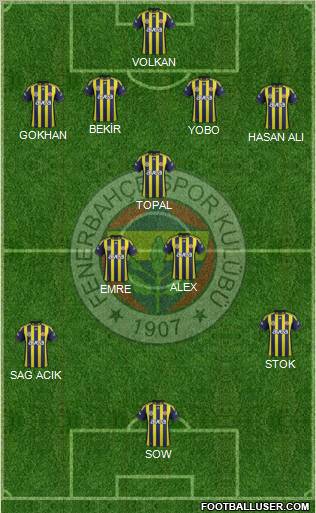 Fenerbahçe SK Formation 2012