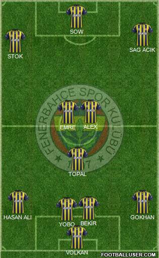 Fenerbahçe SK Formation 2012