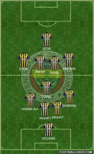 Fenerbahçe SK Formation 2012