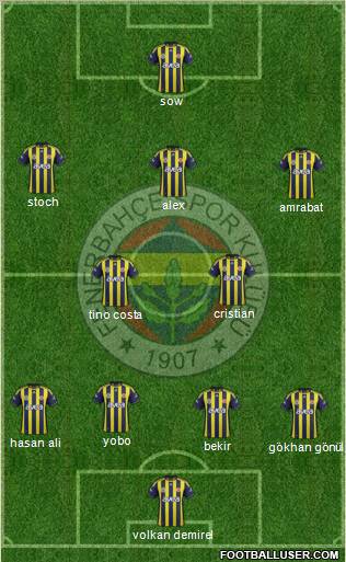 Fenerbahçe SK Formation 2012