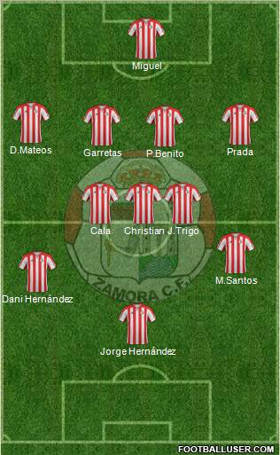 Zamora C.F. Formation 2012
