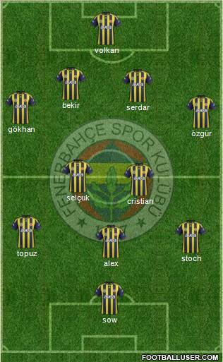 Fenerbahçe SK Formation 2012