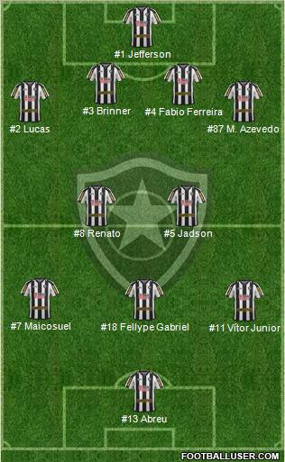 Botafogo FR Formation 2012