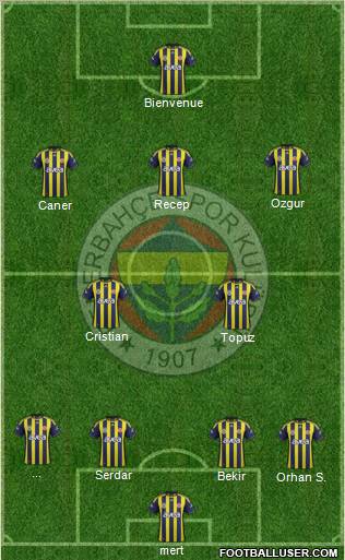 Fenerbahçe SK Formation 2012