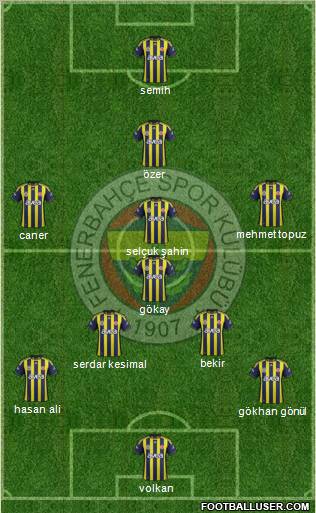 Fenerbahçe SK Formation 2012