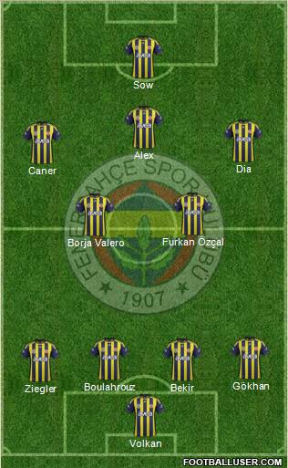 Fenerbahçe SK Formation 2012