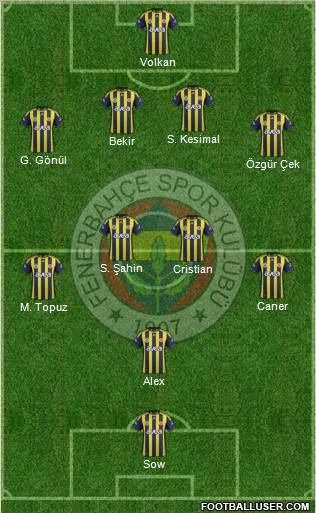 Fenerbahçe SK Formation 2012
