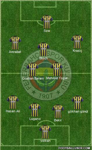 Fenerbahçe SK Formation 2012