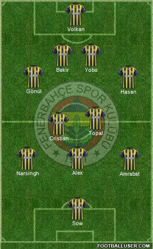 Fenerbahçe SK Formation 2012