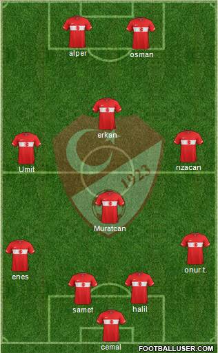 Turkey Formation 2012