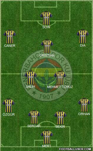Fenerbahçe SK Formation 2012