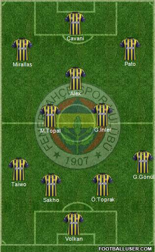 Fenerbahçe SK Formation 2012