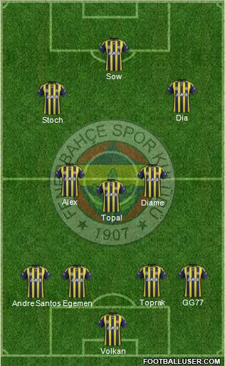 Fenerbahçe SK Formation 2012
