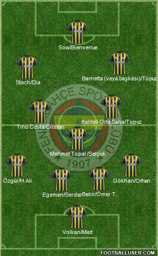 Fenerbahçe SK Formation 2012