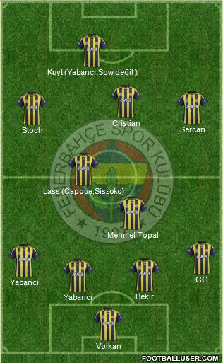 Fenerbahçe SK Formation 2012
